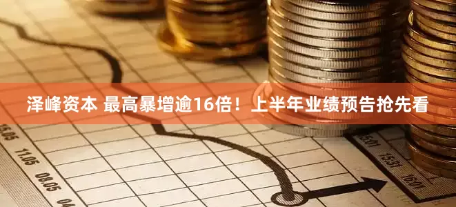 泽峰资本 最高暴增逾16倍！上半年业绩预告抢先看