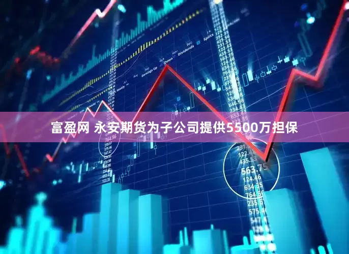 富盈网 永安期货为子公司提供5500万担保