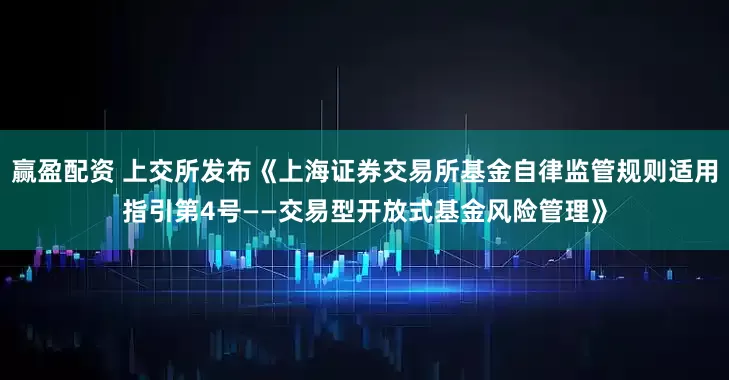 赢盈配资 上交所发布《上海证券交易所基金自律监管规则适用指引第4号——交易型开放式基金风险管理》