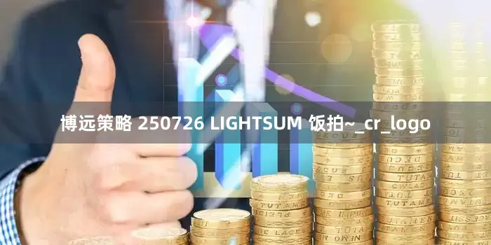 博远策略 250726 LIGHTSUM 饭拍~_cr_logo