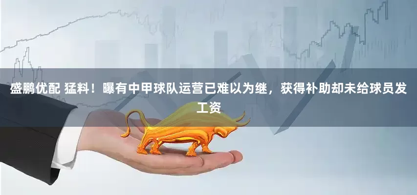 盛鹏优配 猛料！曝有中甲球队运营已难以为继，获得补助却未给球员发工资