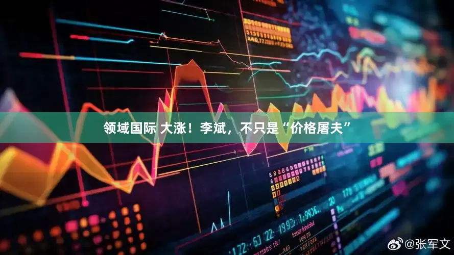 领域国际 大涨！李斌，不只是“价格屠夫”