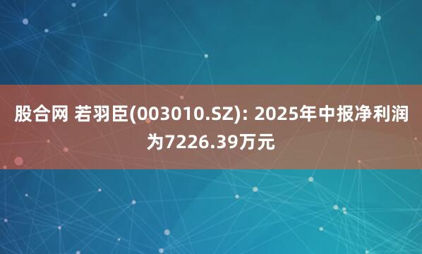 股合网 若羽臣(003010.SZ): 2025年中报净利润为7226.39万元