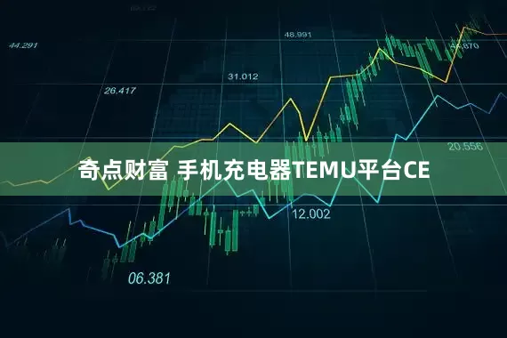奇点财富 手机充电器TEMU平台CE